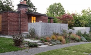 Backyard remodel by SHED Architecture