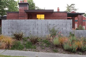 Backyard remodel by SHED Architecture