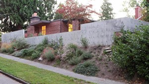 Backyard remodel by SHED Architecture