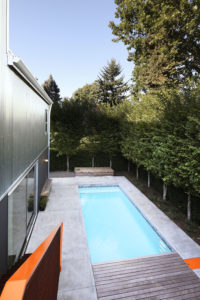 Backyard pool Seattle