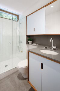 Seattle high performance home
