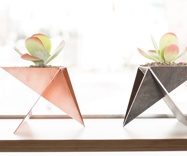 shed architecture and design